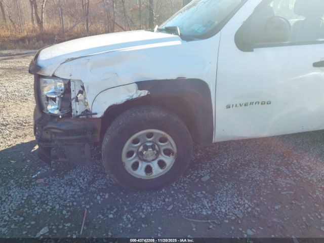 Chevrolet Silverado 1500 Work Truck Image 3