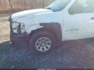Chevrolet Silverado 1500 Work Truck Image 3