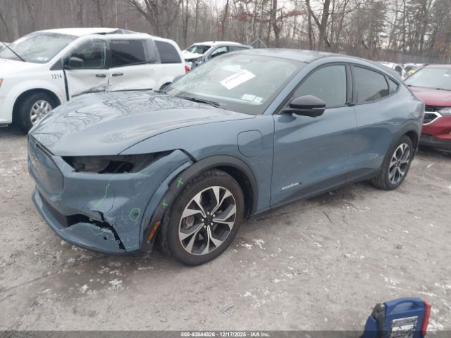 Ford Mustang Select Image 8