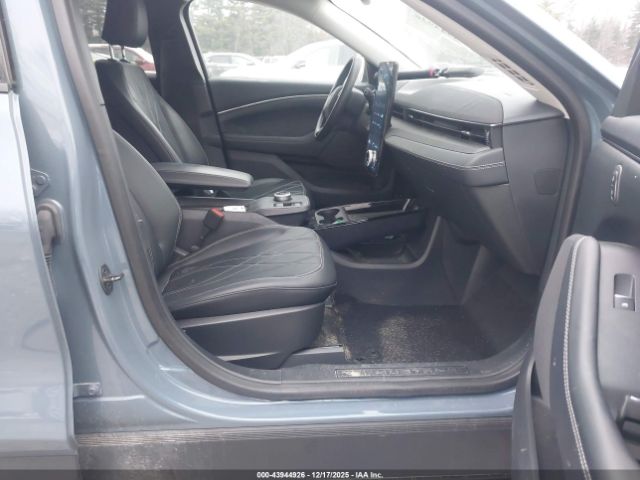 Ford Mustang Select Image 9