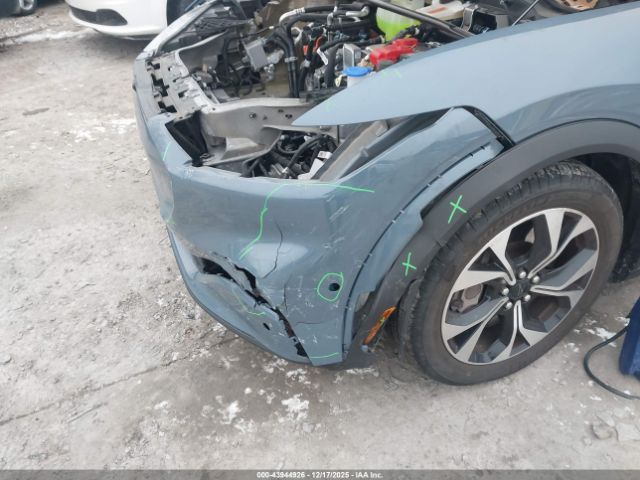 Ford Mustang Select Image 19