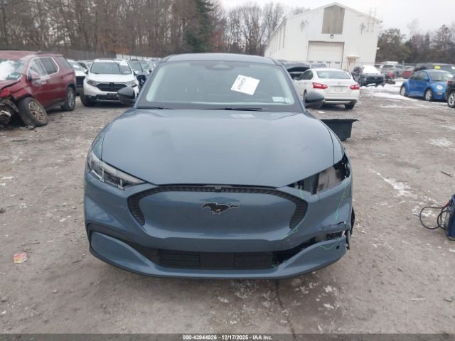 Ford Mustang Select Image 2