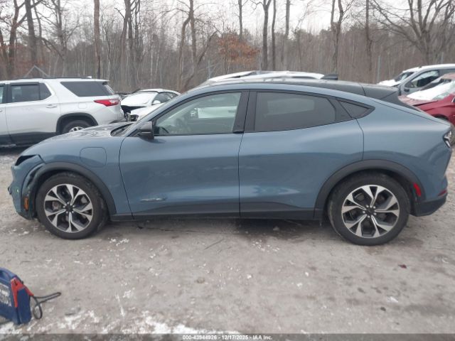 Ford Mustang Select Image 6