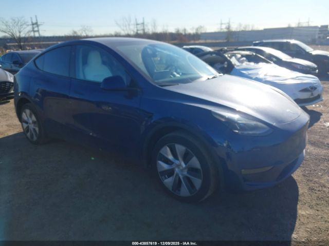 Tesla Model Y Image 1