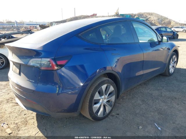 Tesla Model Y Image 2