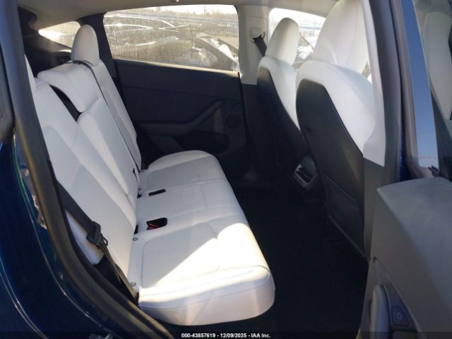 Tesla Model Y Image 7