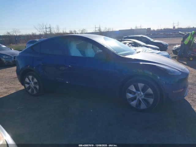 Tesla Model Y Image 19