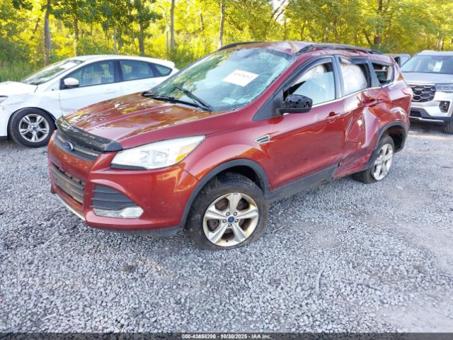Ford Escape Se Image 11