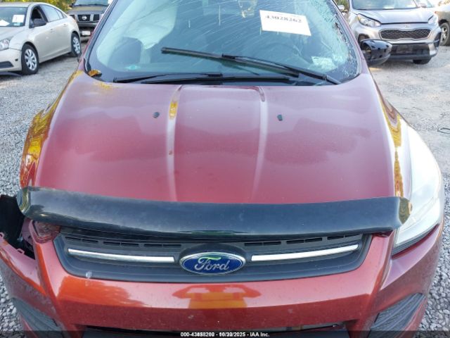 Ford Escape Se Image 7